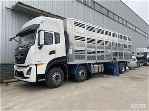福田欧曼畜禽运输车价格解析及选购指南